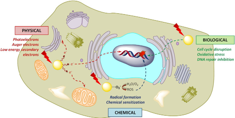 Figure 19