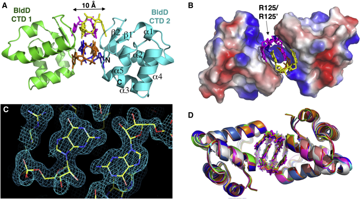 Figure 4