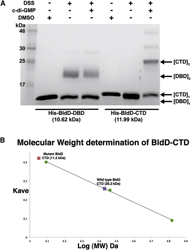 Figure 6