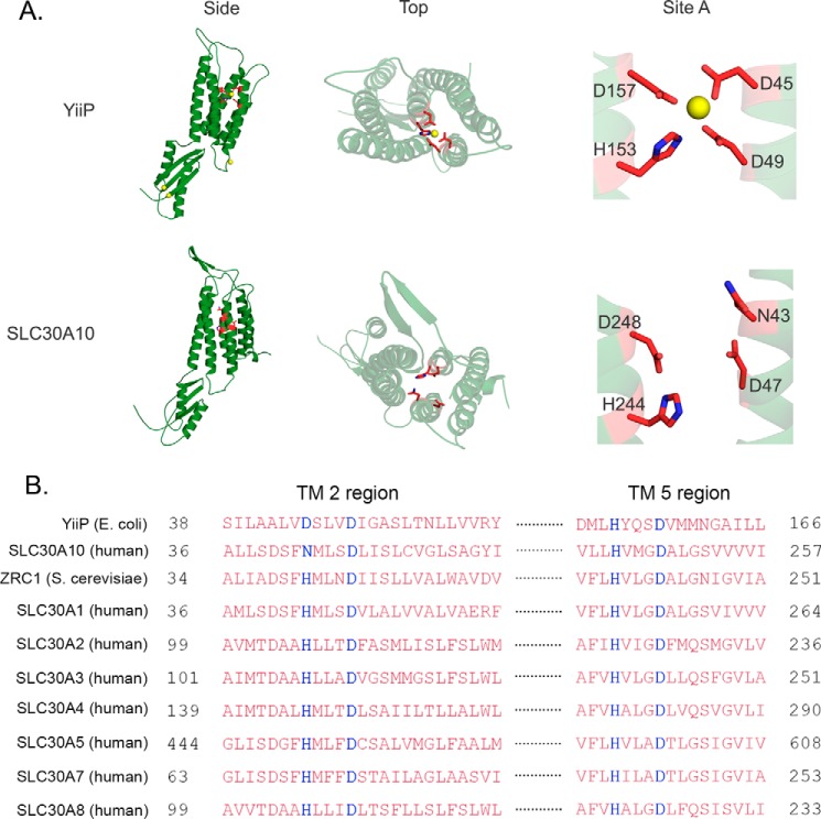 FIGURE 1.