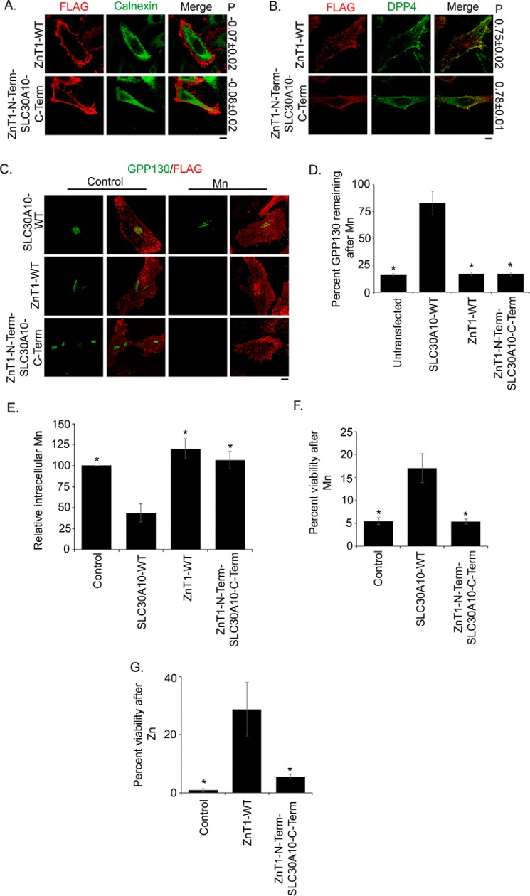 FIGURE 10.