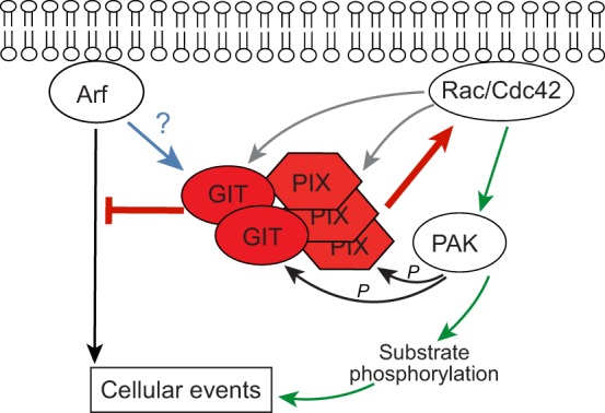 Fig. 2.