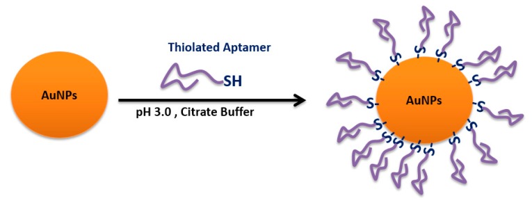 Figure 31