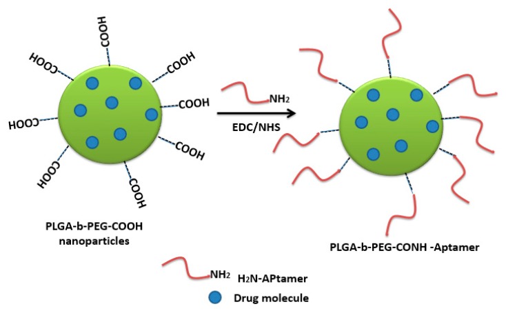 Figure 25