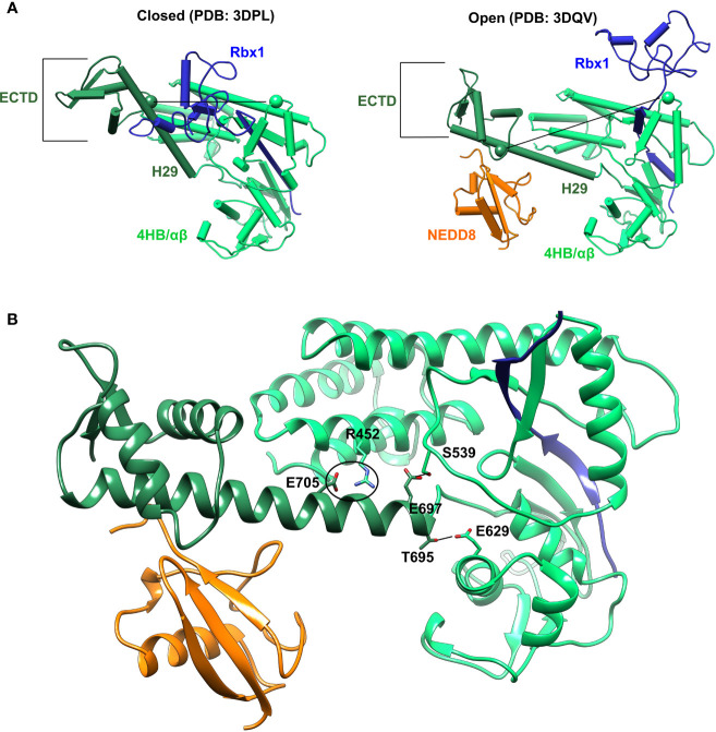 Figure 2