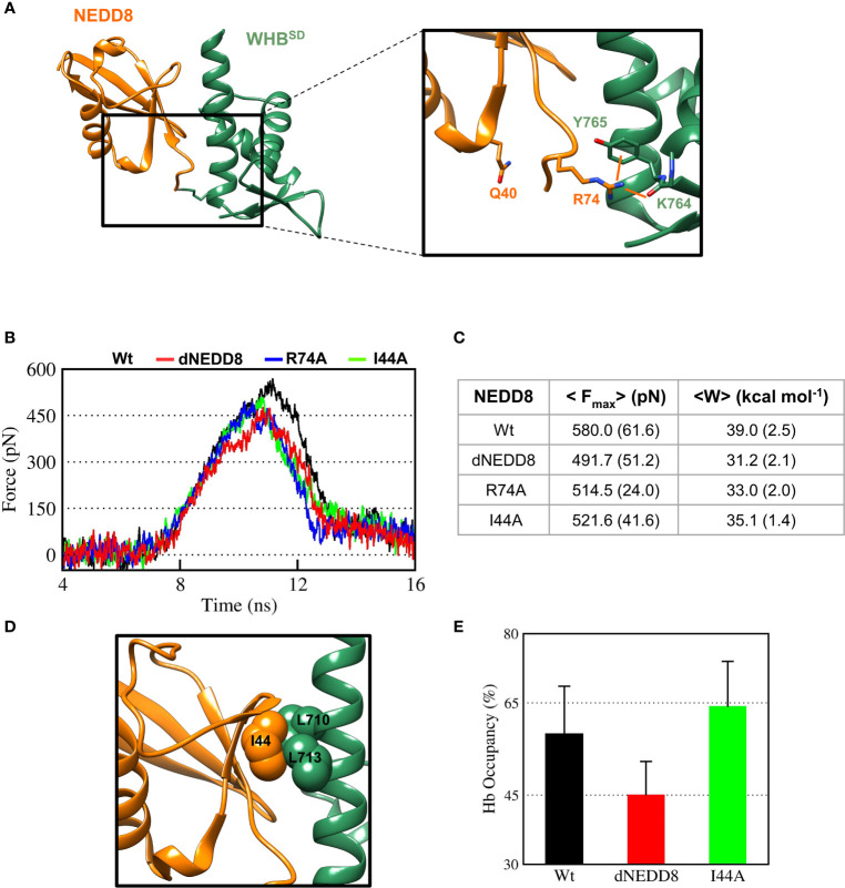 Figure 6