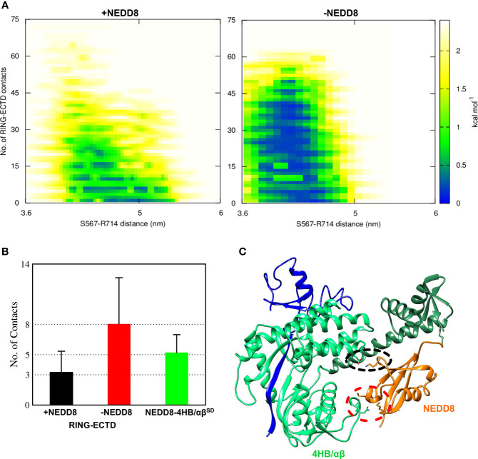 Figure 4