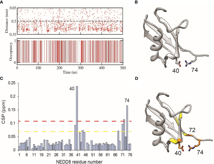 Figure 5