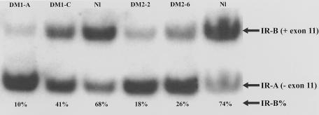 Figure  1