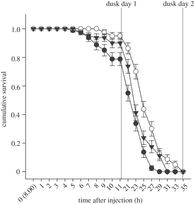 Figure 4.