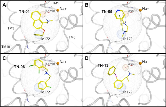 Figure 5