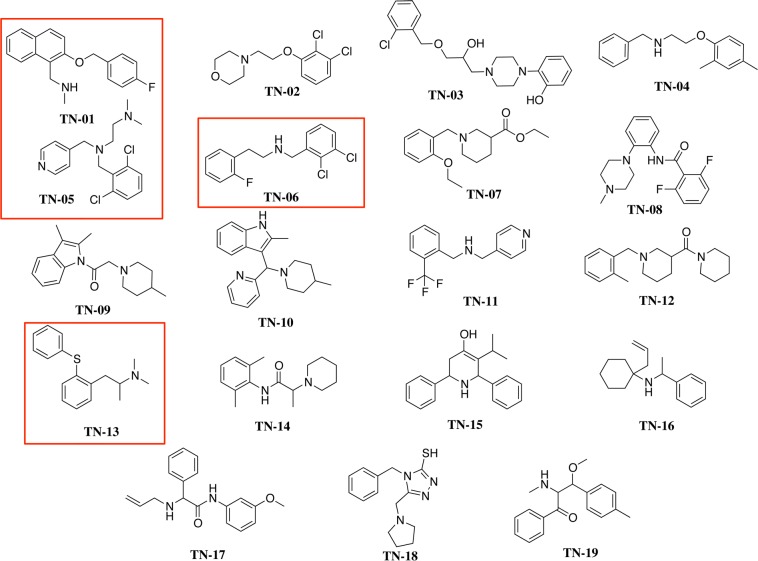 Figure 2