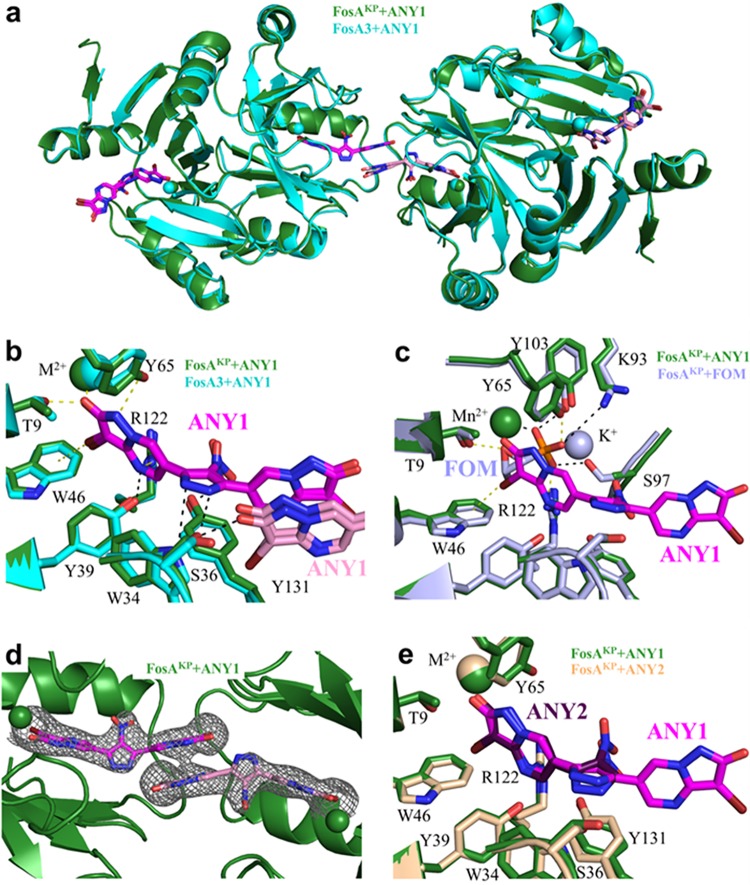 FIG 3