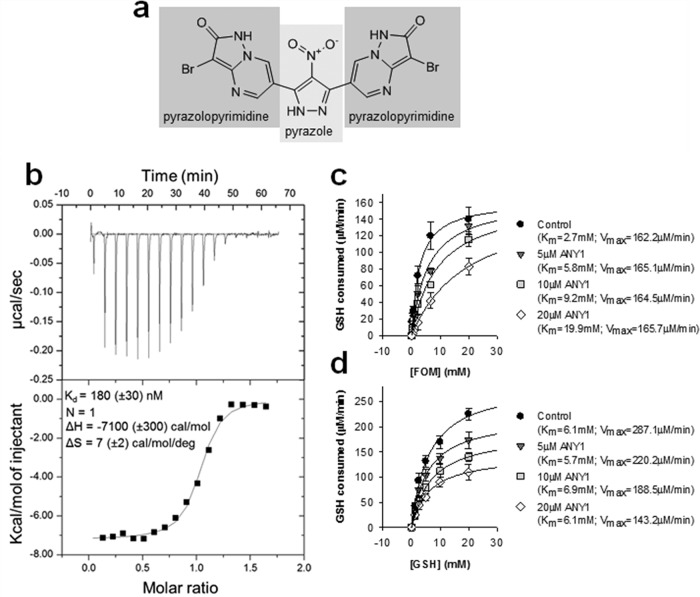 FIG 2