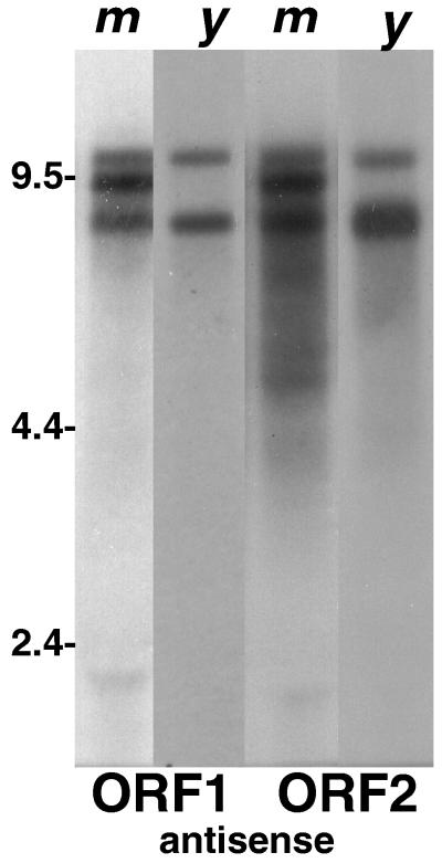 FIG. 8