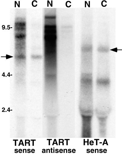 FIG. 7