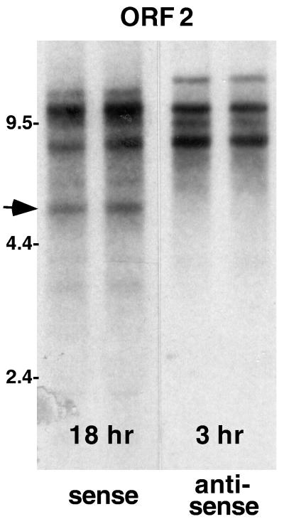 FIG. 6