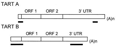 FIG. 10