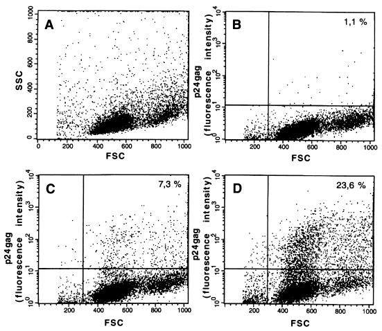 FIG. 6