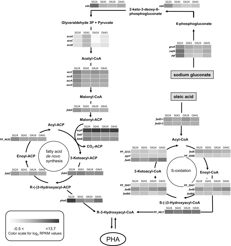 Fig. 6