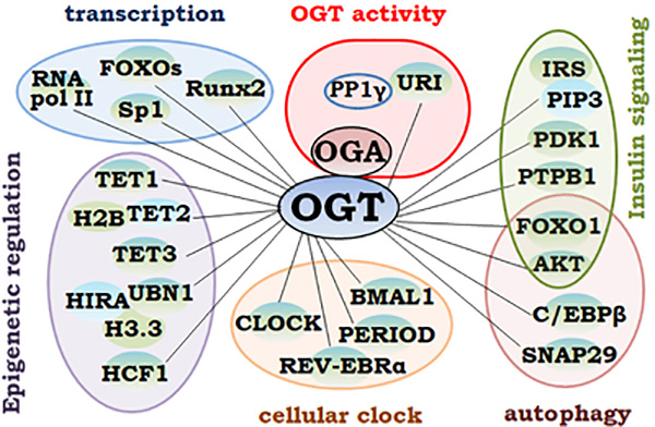 Figure 2.