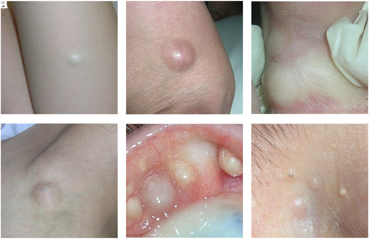 Figure 3.
