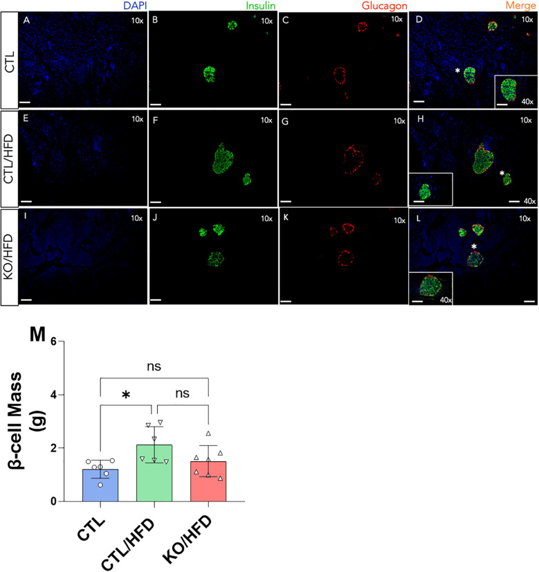 Figure 5