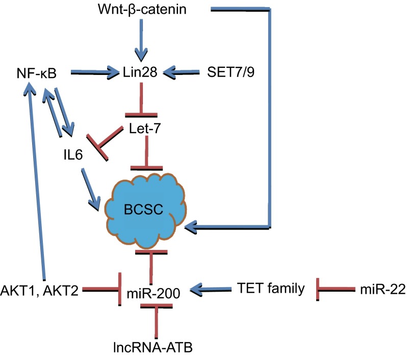 Figure 1