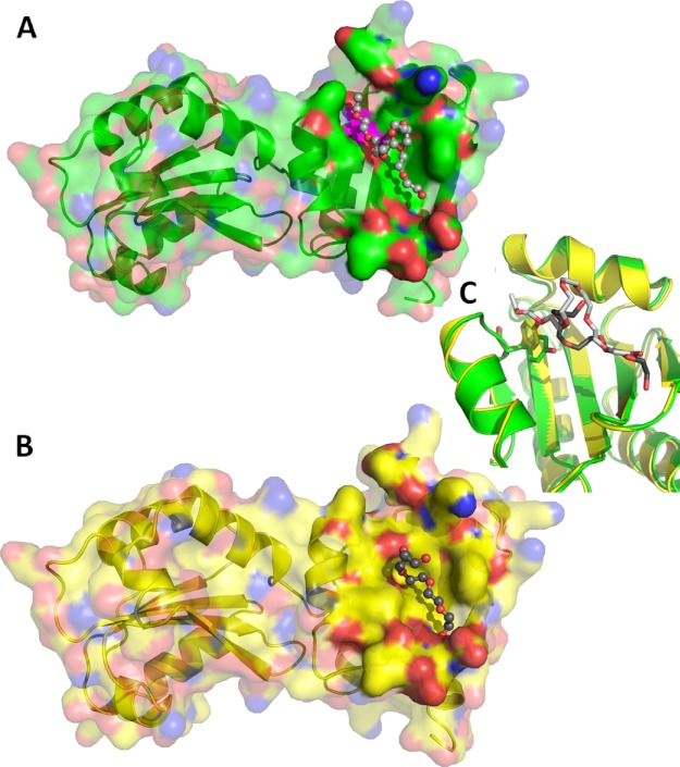 FIGURE 3.