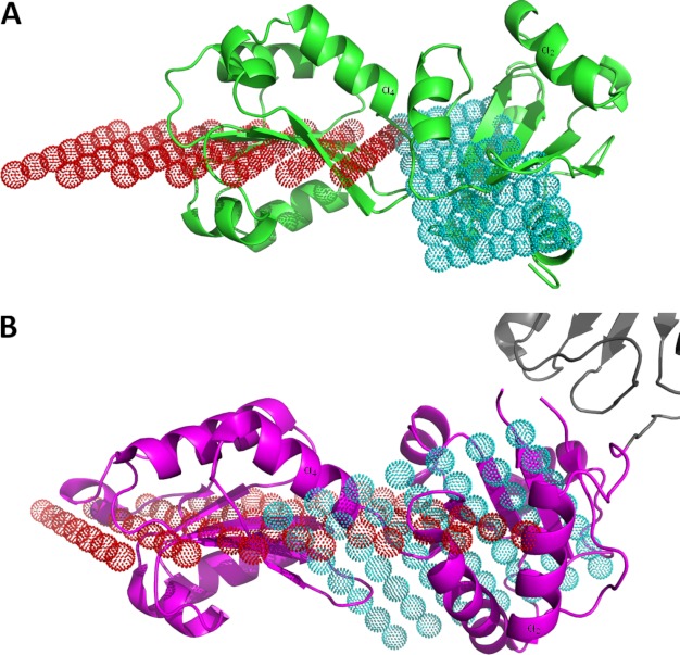 FIGURE 4.