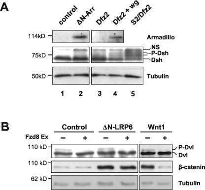 FIG. 8.