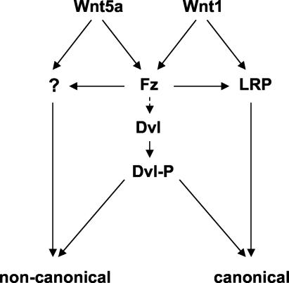 FIG. 9.