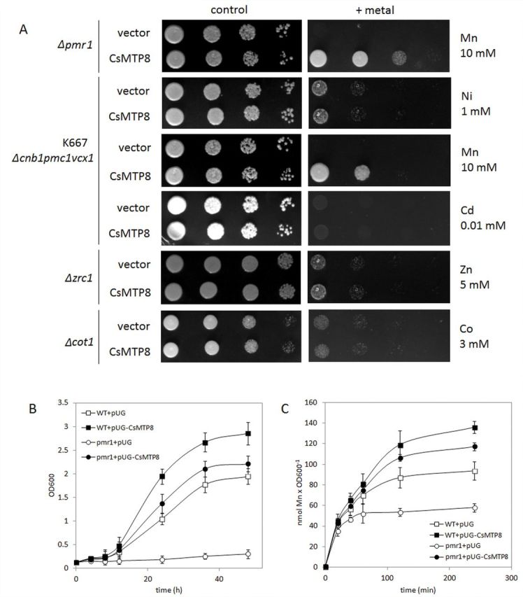 Fig. 3.