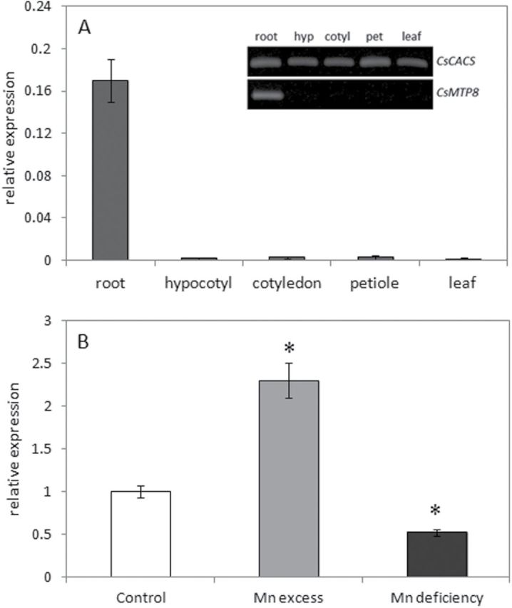 Fig. 7.