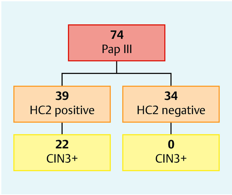 Fig. 3