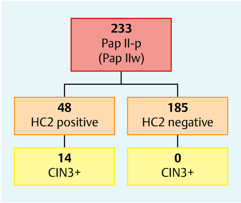 Fig. 1