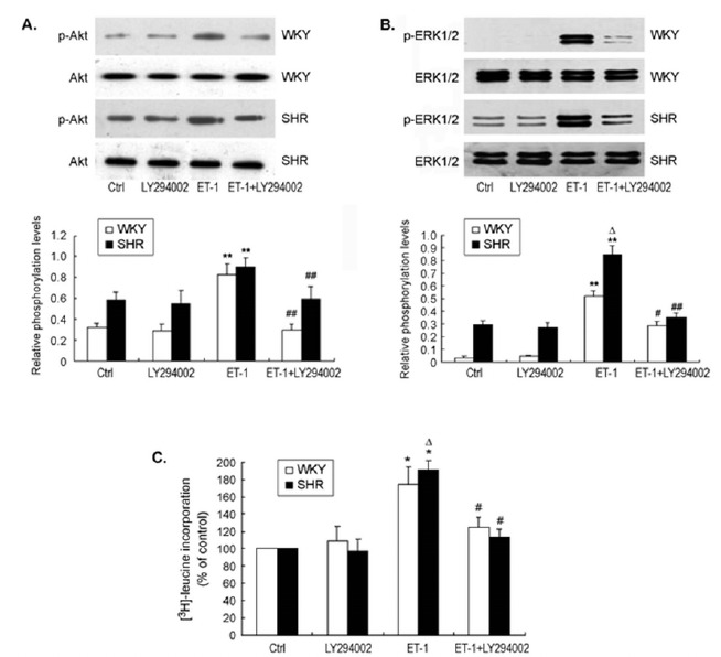 Fig. (6)