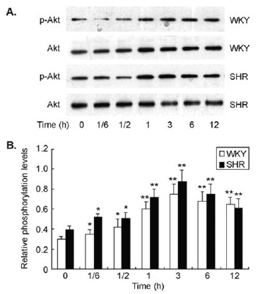 Fig. (5)