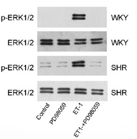 Fig. (3)