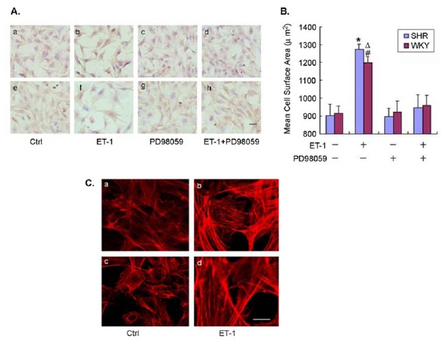 Fig. (2)