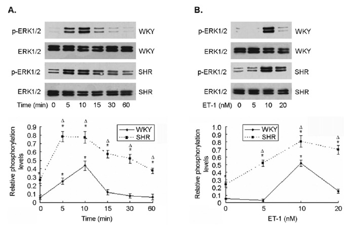 Fig. (1)