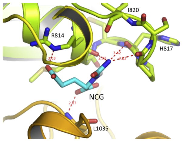 Fig. 7