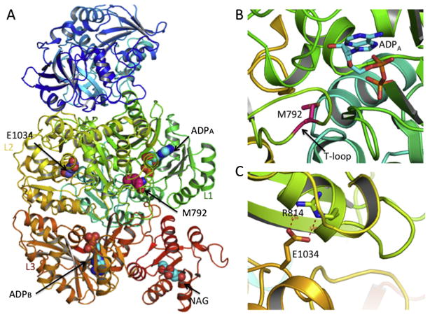 Fig. 6