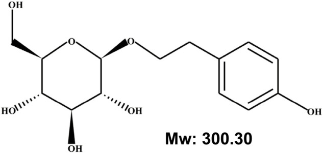 FIGURE 1