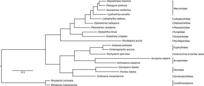 FIGURE 2