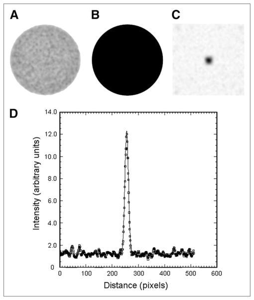 FIGURE 2