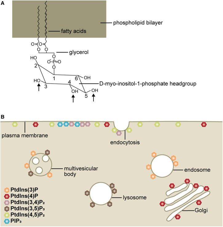 Figure 1.