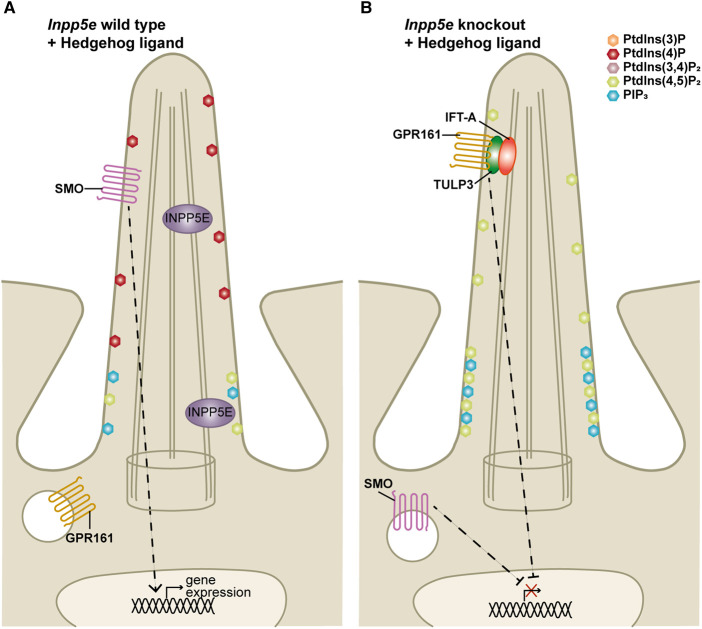 Figure 6.