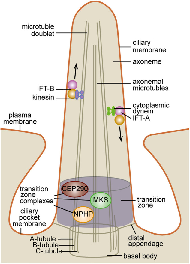 Figure 2.