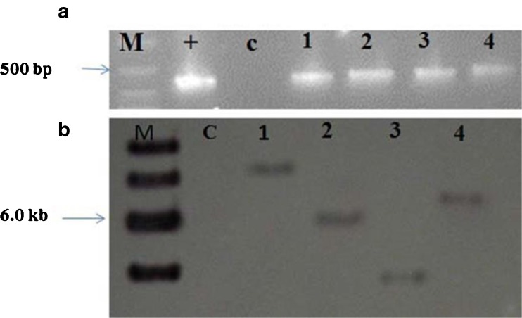 Fig. 5